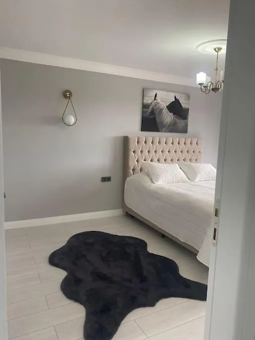 Modern Koey Evi Villa Trabzon